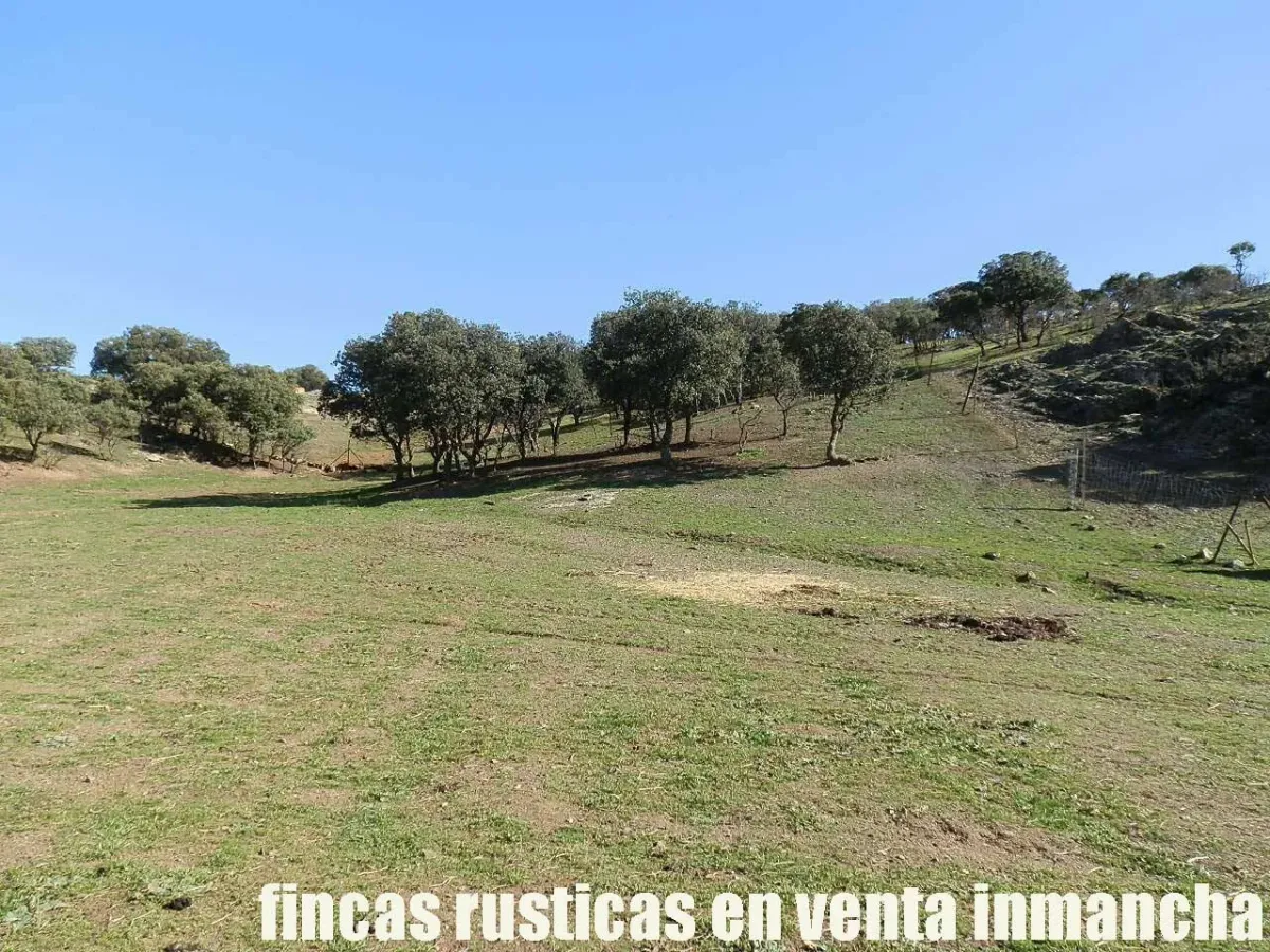 Imagen del inmueble