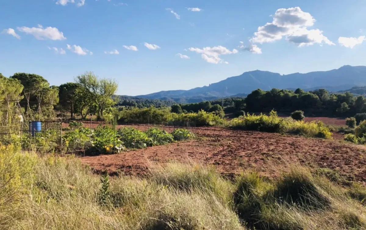 Imagen de la finca Finca Rústica con Amplias Posibilidades