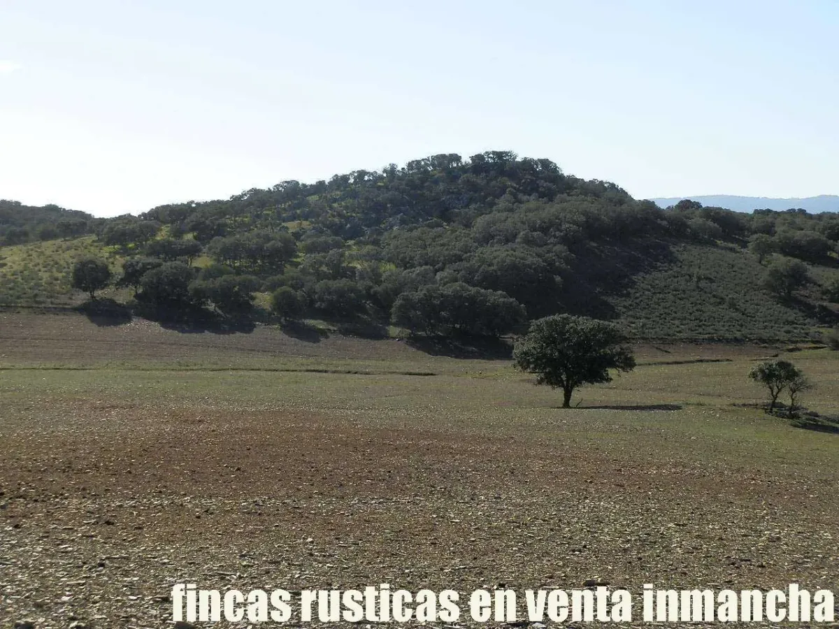 Imagen del inmueble