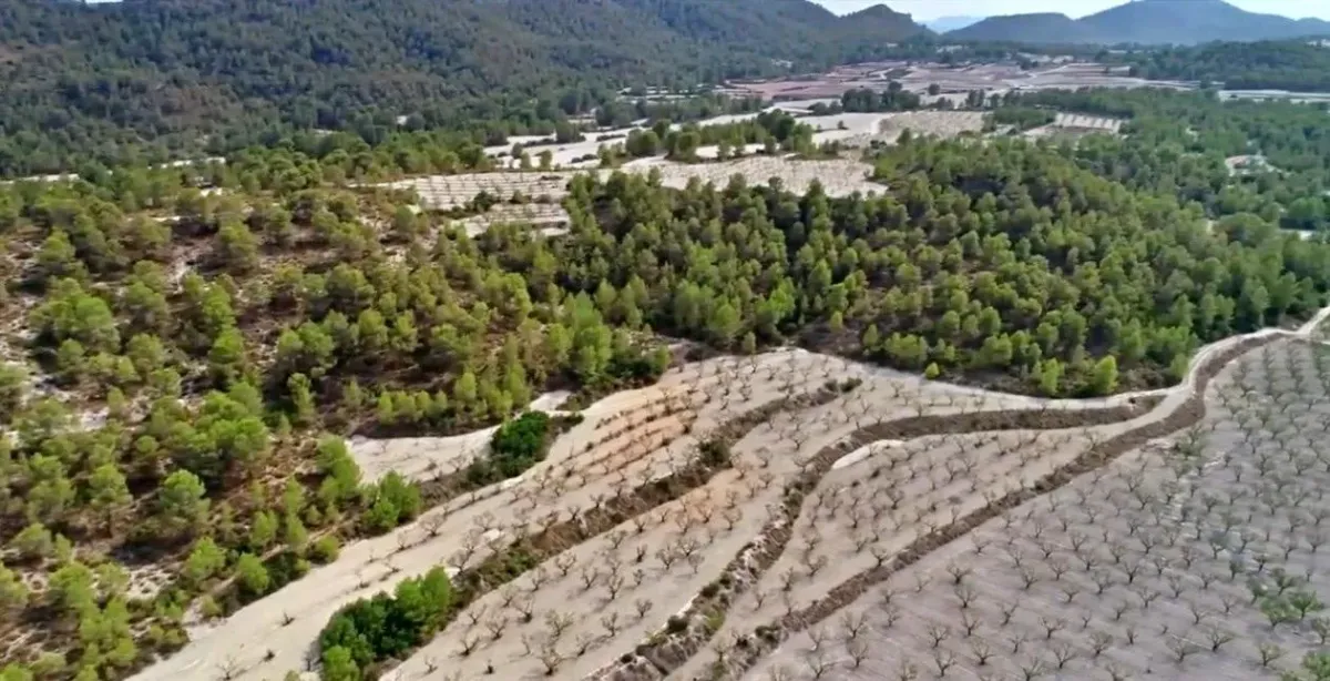 Imagen de la finca HACIENDA RUSTICA CON CASA CORTIJO - MORATALLA