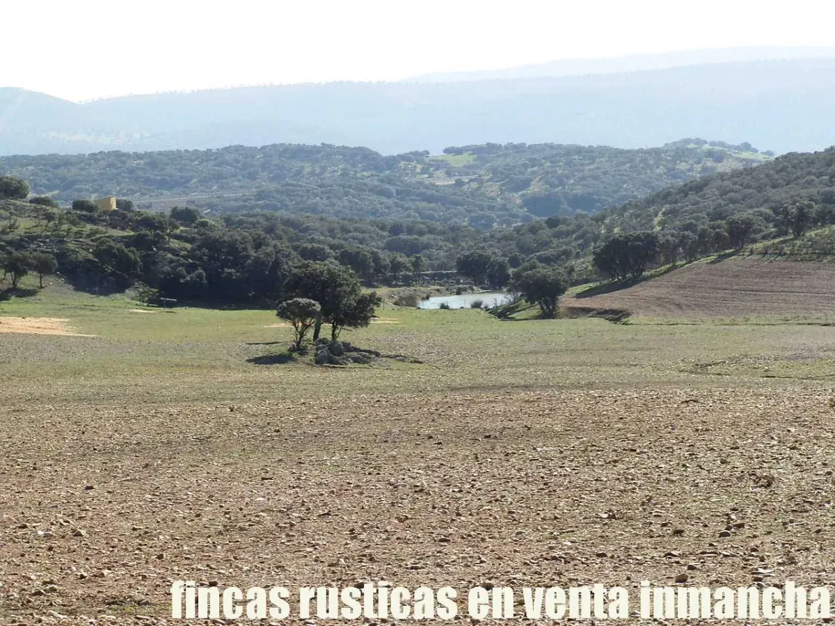 Imagen del inmueble