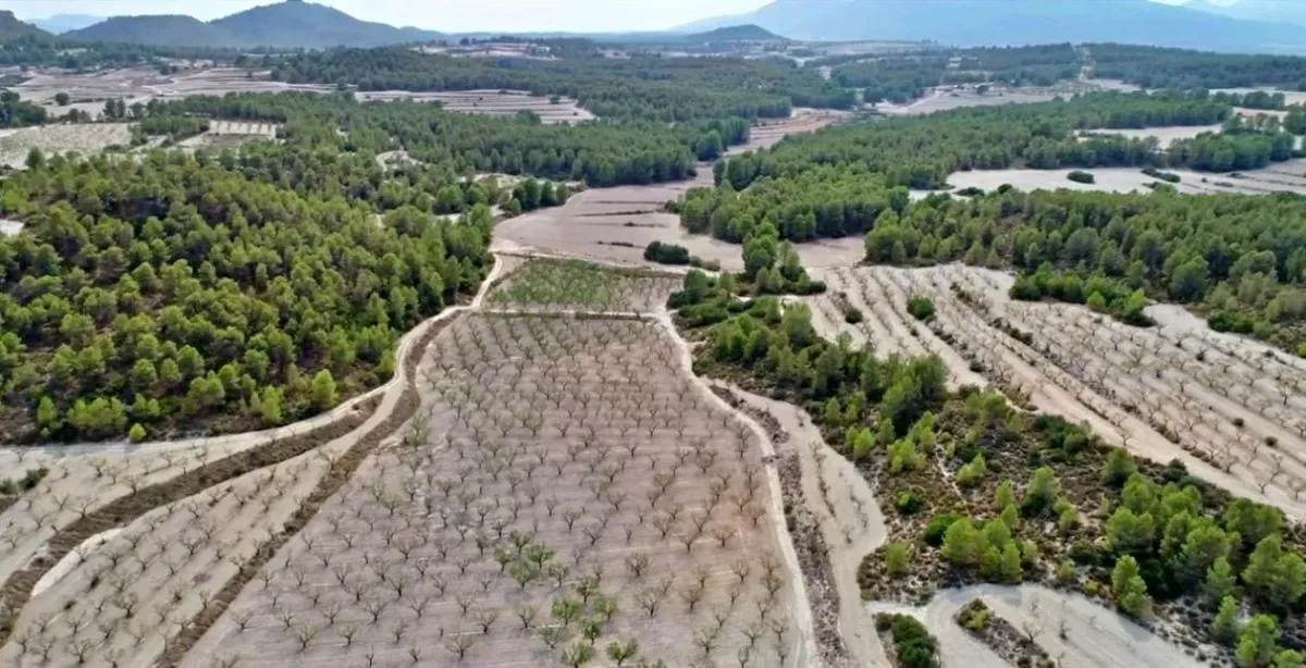 Imagen de la finca HACIENDA RUSTICA CON CASA CORTIJO - MORATALLA