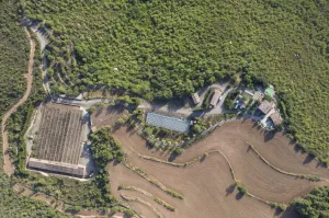 FINCA RÚSTICA LUXURY CON GRANJA CINEGÉTICA