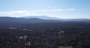 Finca rústica en pleno Valle del Tiétar