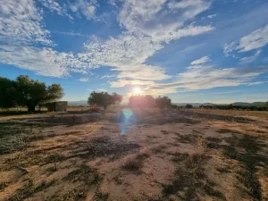 Finca regadío 10 hectáreas en Valencia