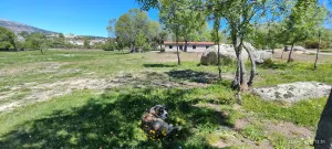 Madrid ref 1499 Fincas Rusticas Gilmar