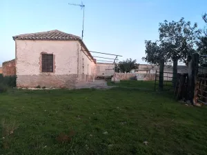 Finca 2 Hectares, pozo y luz, cerca Daimiel