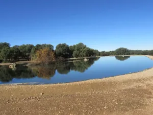 FINCA DE LABOR Y CAZA MENOR EN CIUDAD REAL