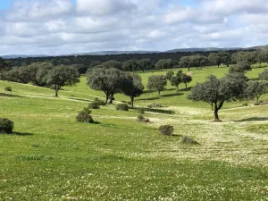 FINCA GANADERA , AGRICOLA Y CINEGETICA