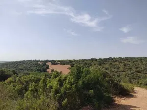 PRECIOSA FINCA DE 367 HECTAREAS EN ALBACETE