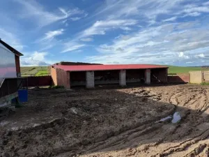 Se alquila finca con cebadero con licencia