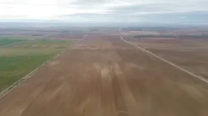 Alquiler Finca Rústica de Regadío 60ha Quinto
