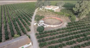 Exclusiva finca en Lomas de Pichardo