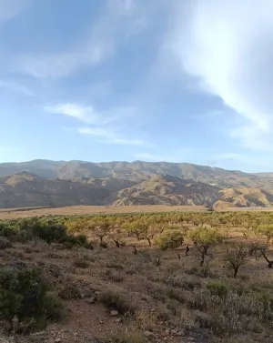 Gran finca con opciones diversas en Almería