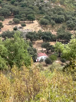 Finca 303 Has en Ciudad Rodrigo-Fotovoltaico