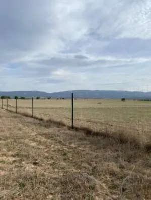 Terreno 3,5Ha en Sonseca (Toledo)