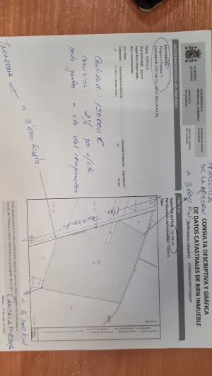 13.9 has. secano junto a carretera Peñaranda