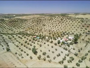 Venta de finca en Moron de la Frontera