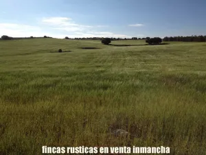 finca en venta 186 has. labor caza menor