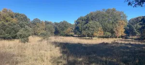 Finca con naves abandonadas en Burgos