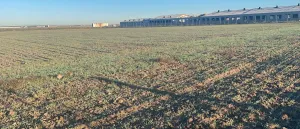 Finca con naves abandonadas en Segovia