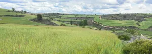 Fincas rústicas en Fuentelencina