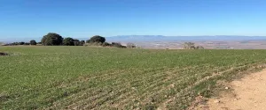Fincas rústicas en Anchuelo