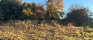 Finca rústica de 6 ha en Mentrida