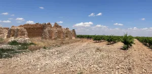 Finca en venta de 9 ha en Tomelloso