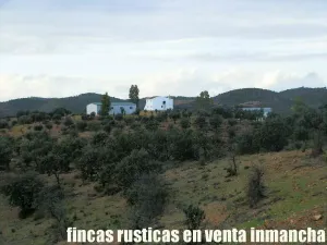 finca en venta 216 has. Recreo Ganadera