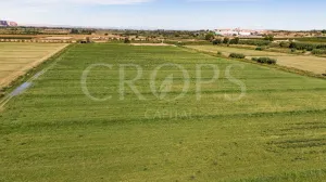 En venta finca agrícola de regadío en Huesca