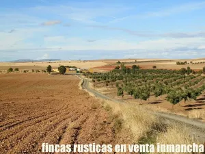finca en venta 350 has. labor secano olivar