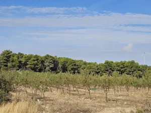 Finca rústica de cultivo en Gandesa