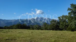 Dehesa para construir en Sierra de Gredos