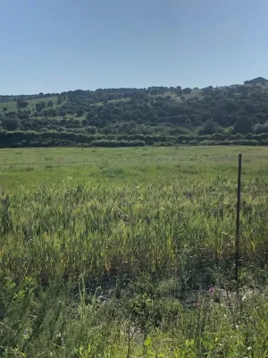 Finca agrícola ganadera