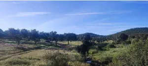 Finca Valgallego
