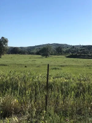 Finca mixta agrícola ganadera renovables en C