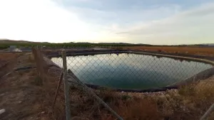 FINCA DE REGADÍO DE LIMONEROS EN MULA