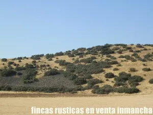 finca venta 326 has labor ganadera en Almagro