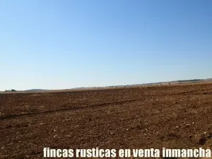finca en venta 184 has. labor riego Belmonte