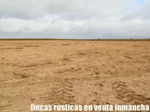 finca en venta 22 has. Pistacho-Labor riego