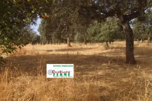 Finca mixta en el  VALLE DE LOS PEDROCHES.