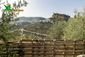 PRECIOSO TERRENO DE RECREO EN MONTEFRIO