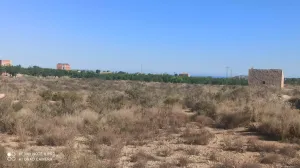 PARCELAS rústicas en Agost.