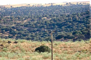 Finca Ganadera De 800ha Cerca De Cáceres
