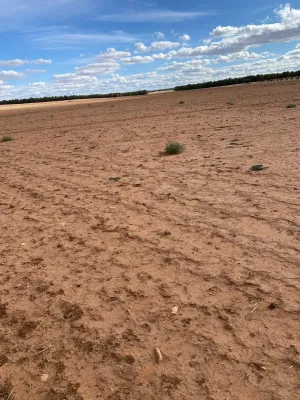 [gestifincarustica] - Tierra calma de  labor