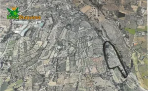 Terreno rústico con OLIVOS y caseta.