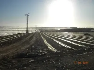 FINCA REGADIO 35 Ha. COTA 120 CAMPO CARTAGENA