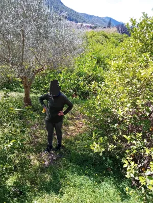 Terreno rústico en Los Lages - Los Garres