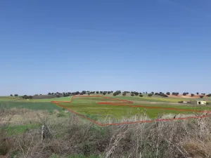 12 Has secano Barregas (a 12 km de Salamanca)